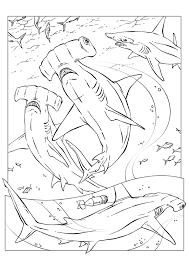 coloriages page 2 tatuagem de peixe tatoo braco maori coloriage soldats militaires