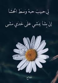 شعر عربي Arabic Quotes Arabic Quotes Arabic Quotes
