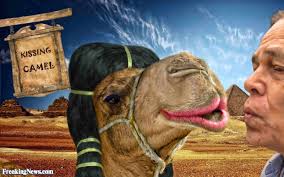Shortly after a much wittier gentleman with far better handwriting replied, go home dad, you're drunk. i was 18 or 19 the first time i saw it and at the time thought it was the pinnacle of humor. Go Home Camel You Are Drunk Funny Meme