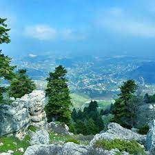 اعتبر الحزب التقدمي الإشتراكي في بيان أن الفاجعة التي وقعت في عكار ليل أمس على مأساويّتها، إنما أكدت صوابية موقف الحزب التقدمي الإشتراكي الذي لطالما حذّر من مخاطر. Ø£ÙØ±Ø§Ø­ Ø¹ÙƒØ§Ø± Ø§Ù„Ø¹ØªÙŠÙ‚Ø© Home Facebook