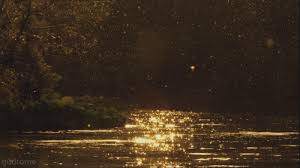 Aesthetic gif water nature plants river. Animated Gif About Gif In Insomnia By Ella