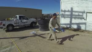 Stribai ir kova su kenkėjais. Termites Info Termite Yuma Az