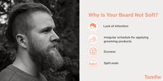 We all know that keeping facial hair looking its best involves more than straightening it with our hands every morning after we get out of bed. How To Soften Beard Hair And How To Maintain Beard Tomfw