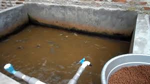 Kolam Lele Beton Bertingkat Serang Banten Youtube