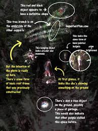 A family vacation takes a terrifying turn when parents paul and wendy discover their young daughter has vanished without a trace. The Missing Panama Girls A Closer Look At One Photo Imperfect Plan