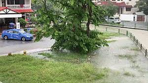 Singapore's public utilities board used the term ponded rather than flooded when heavy rains caused flash floods in various parts of the city last week. Five Flash Flood Spots To Avoid Articles Motorist