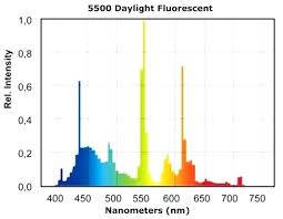Kelvin Light Scale Areloan Info