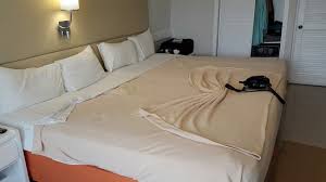 How much space should there be around the bed? Double Beds Made Into A Large King Size Bed Picture Of Sunscape Puerto Plata Dominican Republic Tripadvisor