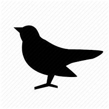 Thus, the american cliff swallow's breeding range includes a large areas across canada and the united states of america, excluding some southern and northern areas. Animal Animals Breed Domestic Mammal Barn Swallow Bird Icon Download On Iconfinder