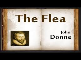 The Flea By John Donne Poetry Reading Youtube