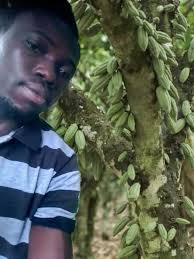 Cocoa Farming Challenges and Best Practices
