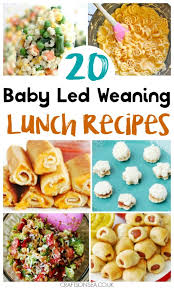 20 Baby Led Weaning Lunch Ideas Baby Led Weaning Lunch Ideas Weaning Foods Baby Food Recipes