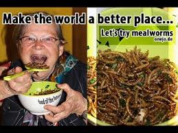 Mehlwurmer Essen Essen Lebensmittel Essen Mehl