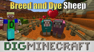 How To Dye A Sheep In Minecraft