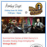 Analog Dogs rocks the Patio