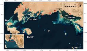 Satellite view of the Red Sea and Arabian Peninsula, a key area of operations where long-endurance drones are in high demand for maritime and border surveillance. (gstatic.com)