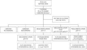 flowchart of the experiments download scientific diagram