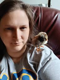 In honor of the hummingbird that just scared my pupper, what are your  babies biggest fears? Duck is scared of; The dark, thunder, loud noises,  humming birds, our old roommate (why we