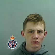 Locked up: Dangerous paedophile and bullies who hacked woman's hair among  32 jailed in October