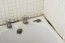 Throw shower curtains in the washing machine to sanitize. Prevent Remove Mold In Bathroom Servicemaster Restore