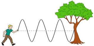 (i) in both types of waves, the particles oscillate (vibrate) about their. Transverse And Longitudinal Waves Speed Of Wave Motion Ck 12 Foundation