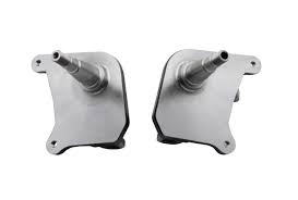 Image result for Pimpinella sp. A. of FZ 4: 594