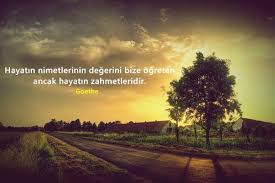 AĞAÇ KESİMİ İLE İLGİLİ SÖZLER ile ilgili görsel sonucu