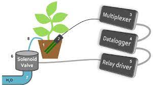 Schematic Diagram Showing A Soil Moisture Sensor Based Automated Download Scientific Diagram
