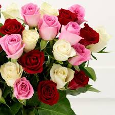Pin On Flowers