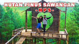 Betul sekali, artinya kamu memang butuh. Hutan Pinus Sawangan Ajibarang Hps Hutan Pinus Sawangan Purwokerto Youtube