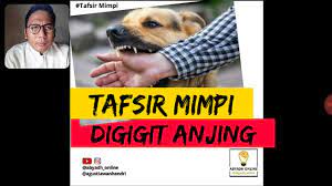 Berkaitan dengan itu, berikut arti mimpi digigit anjing. Tafsir Mimpi Digigit Anjing Hendri Agustiawan Youtube
