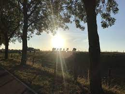 Pin Op Speciale Plekkies