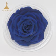 Avoid scissors, which can pinch the water channels of the stalks. Wholesale Preserved Fresh Dried Flowers Dark Blue Roses For Arrangement China Decorative And Forever Roses Price Made In China Com