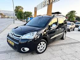 Image result for Brun Guaranja 2011 Citroen