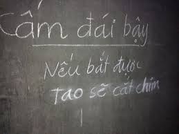 Kết quả hình ảnh cho CAM DAI BAY