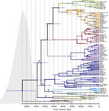 Pin On Languages Linguistics