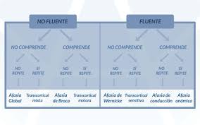 Asimetría entre expresión oral muy. Los 8 Tipos De Afasia Dca Asociacion Ayuda Afasia