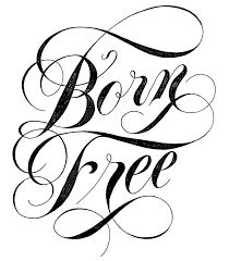 Pin By Closer Closer On Lettering Typography Hand Lettering Inspiration Typography Inspiration Lettering