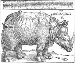 Personalize it with photos & text or purchase as is! Datei Durer Rhino Full Png Wikipedia