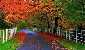 We did not find results for: Most Beautiful Nature Wallpapers For Mobile Wallpapers Desktop Background