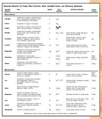 Plant Nutrition Biology Encyclopedia Cells Body Function Cycle Life Membrane Water Molecules