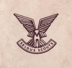 Selous Scouts Scout Military Insignia Military History