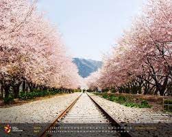 Wallpaper Background Korean A1 Wallpaperz For You