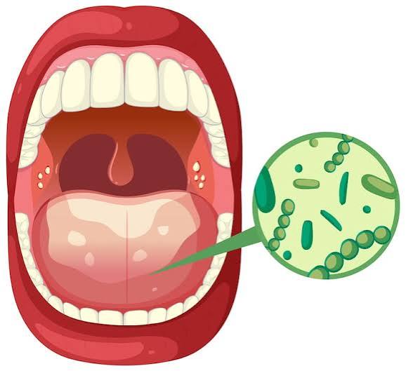Vectores de Cancer oral - Descarga vectores gratis de gran calidad | Magnific (antes Freepik)