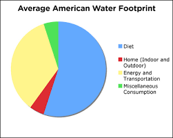 American Lifestyle Costs Nearly 2000 Gallons Of Water Each