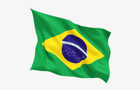 Foi estabelecida como símbolo oficial da república francesa e único pavilhão francês desde 1794. 10pcs Lot Brazil Flag 21x14 Cm Polyester Hand Waving Bandiera Del Brasile Png Png Image Transparent Png Free Download On Seekpng