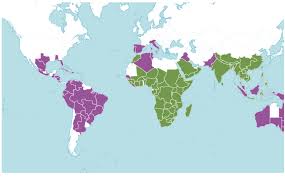 Image result for Kalanchoe latisepala