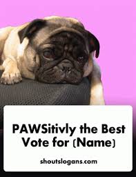 Mahigit limang taon na mula nang ito ay mangyari. Good Campaign Slogans For Student Council