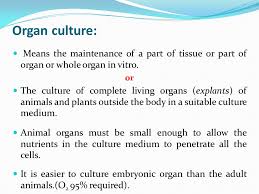 Check spelling or type a new query. Lecture Animal Biotechnology Haji Akbar Establishment Of Cell Culture Many Types Of Animal Cells Can Grow In Vitro Such As Tumour Cells Neuroblastoma Ppt Download