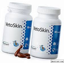 Kediler Icin Vitaminler Vetexpert 8 Populer Tipleri Yorum